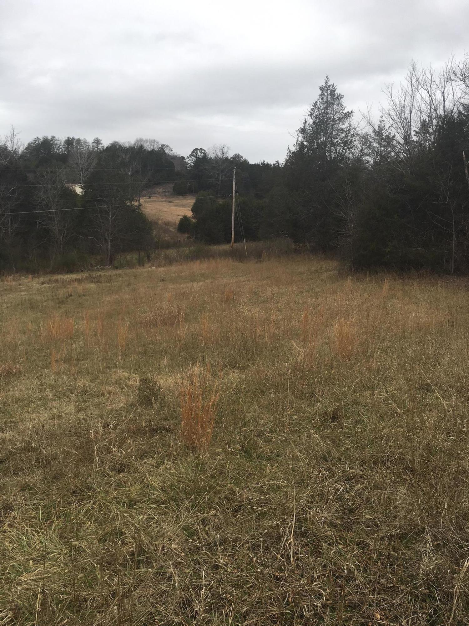 880 Lone Mountain Road Tazewell, TN 37879 - Photo 12 of 16 land
