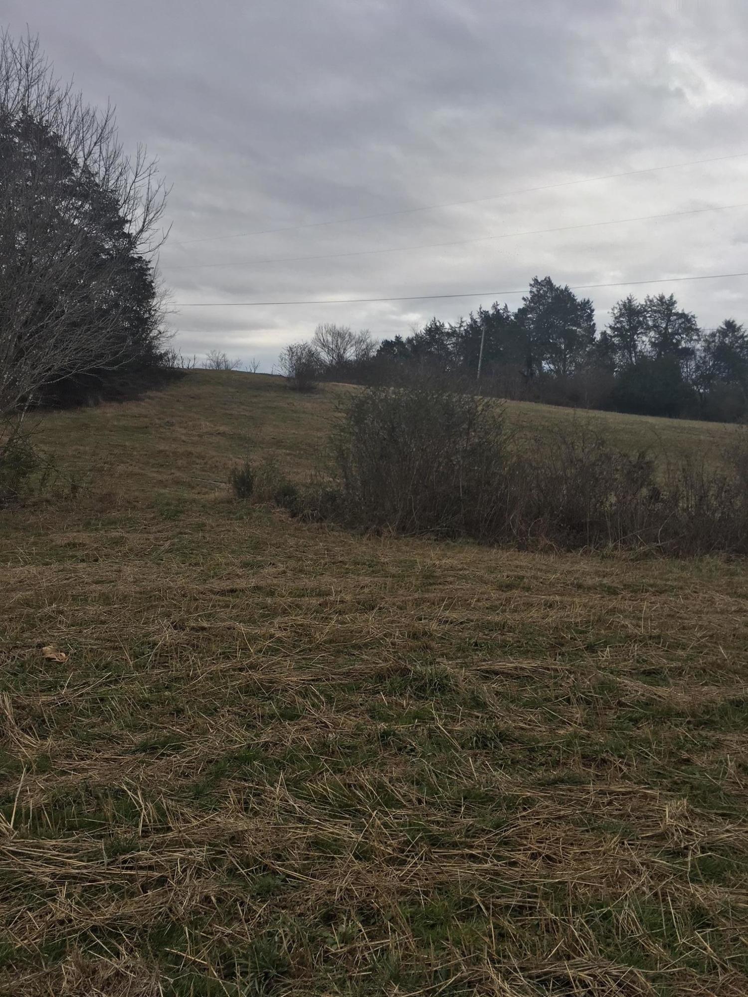 880 Lone Mountain Road Tazewell, TN 37879 - Photo 13 of 16 land