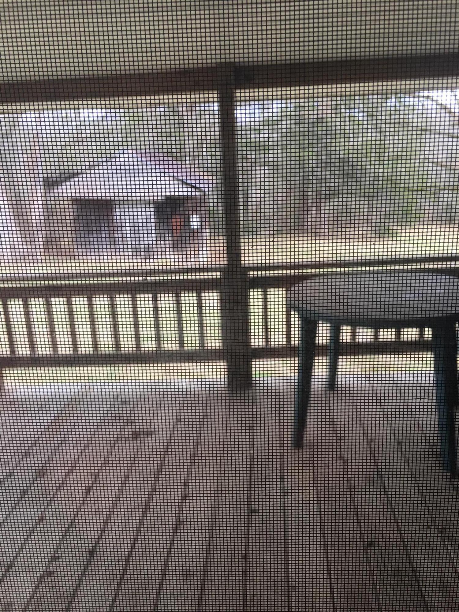 880 Lone Mountain Road Tazewell, TN 37879 - Photo 4 of 16 screened porch