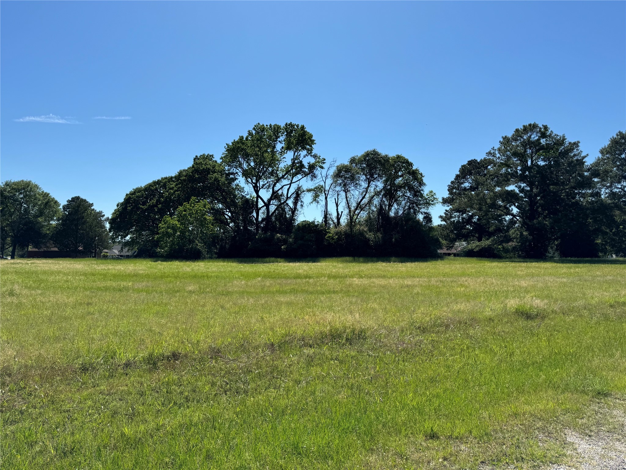 5 Cherry Hill Trinity, TX 75862 - Photo 2 of 6