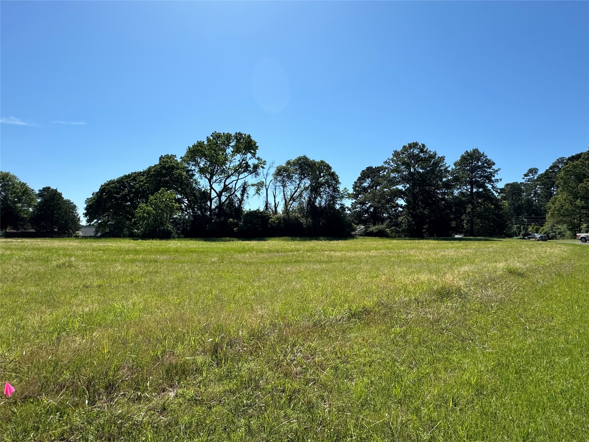 5 Cherry Hill Trinity, TX 75862 - Photo 3 of 6