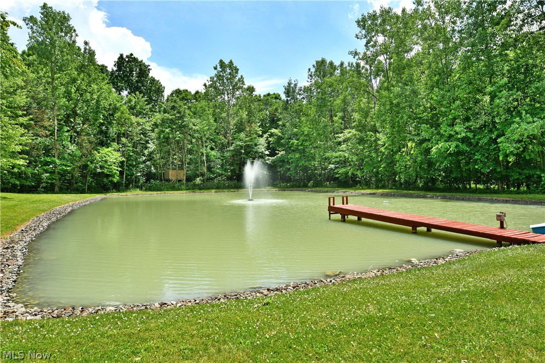 17655 Ellsworth Road Lake Milton, OH 44429 - Photo 9 of 49
