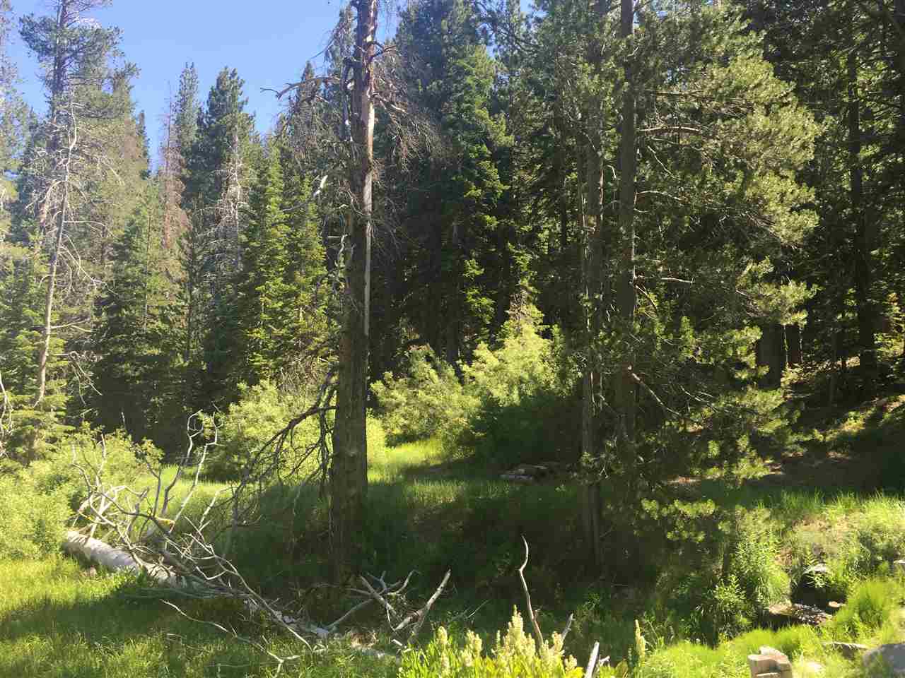 6900 River Road Truckee, CA 96161 - Photo 8 of 17 Gallery Image 8