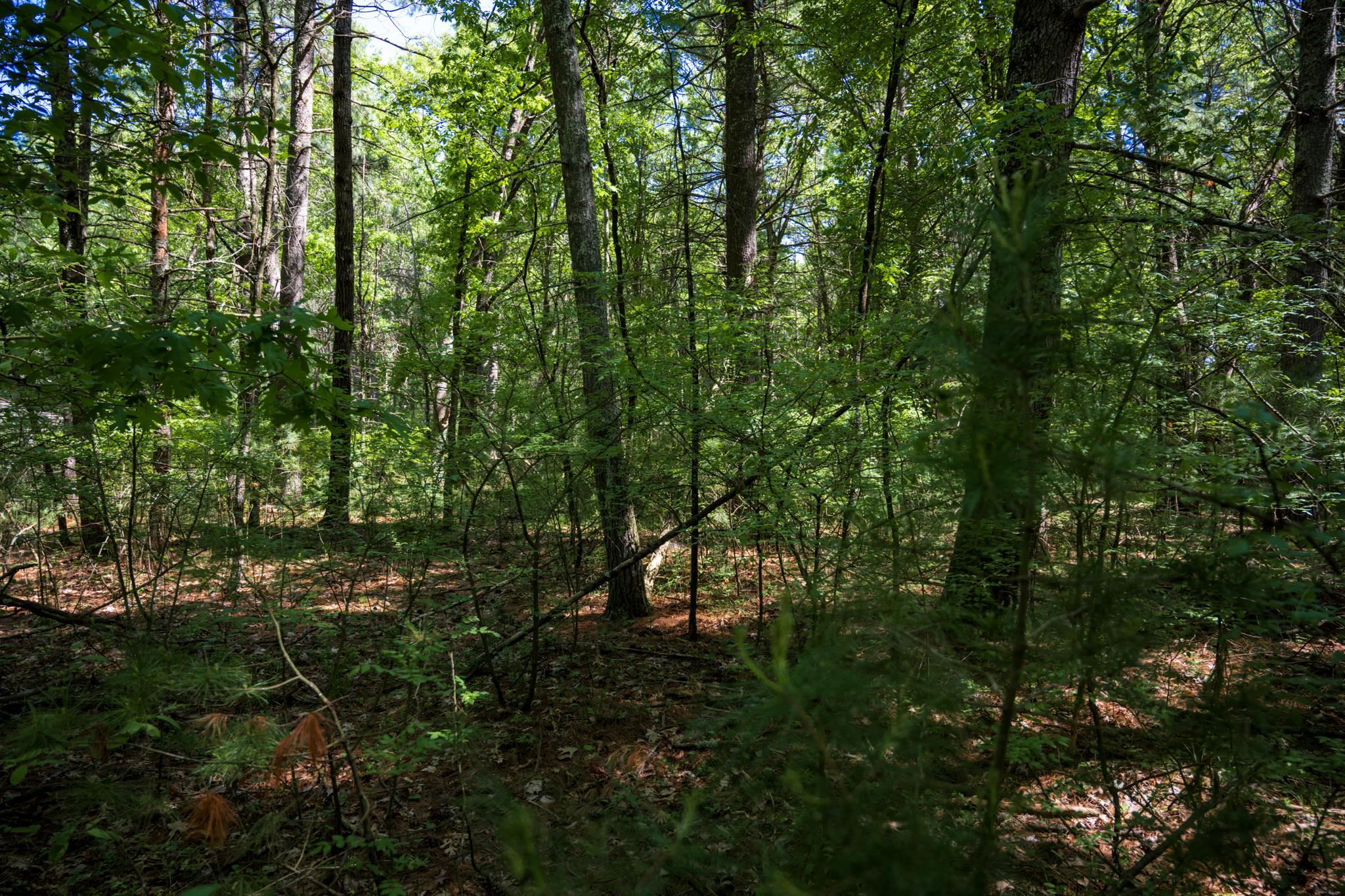 Lot 132 19th Arkdale, WI 54613 - Photo 15 of 27