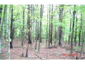 113 Stow Road Stow, ME 04037 - Photo 3 of 3