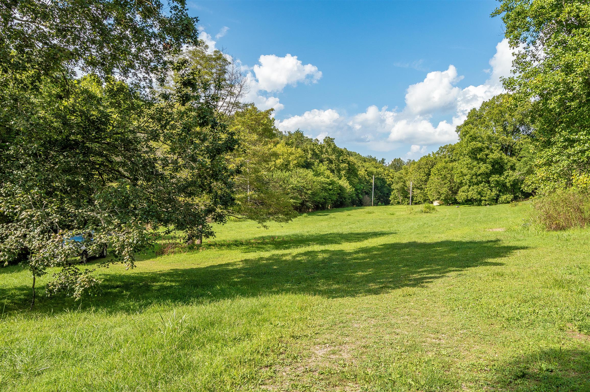 2233 Peach Road Minor Hill, TN 38473 - Photo 17 of 30 a view of a golf course with a lake