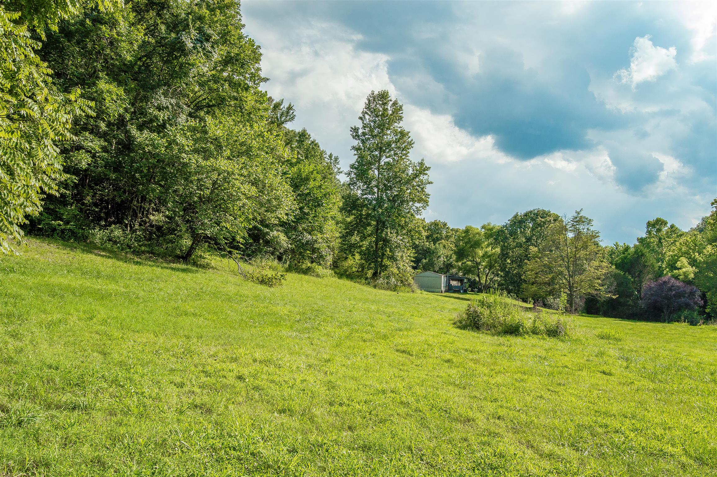 2233 Peach Road Minor Hill, TN 38473 - Photo 18 of 30 a view of outdoor space and yard