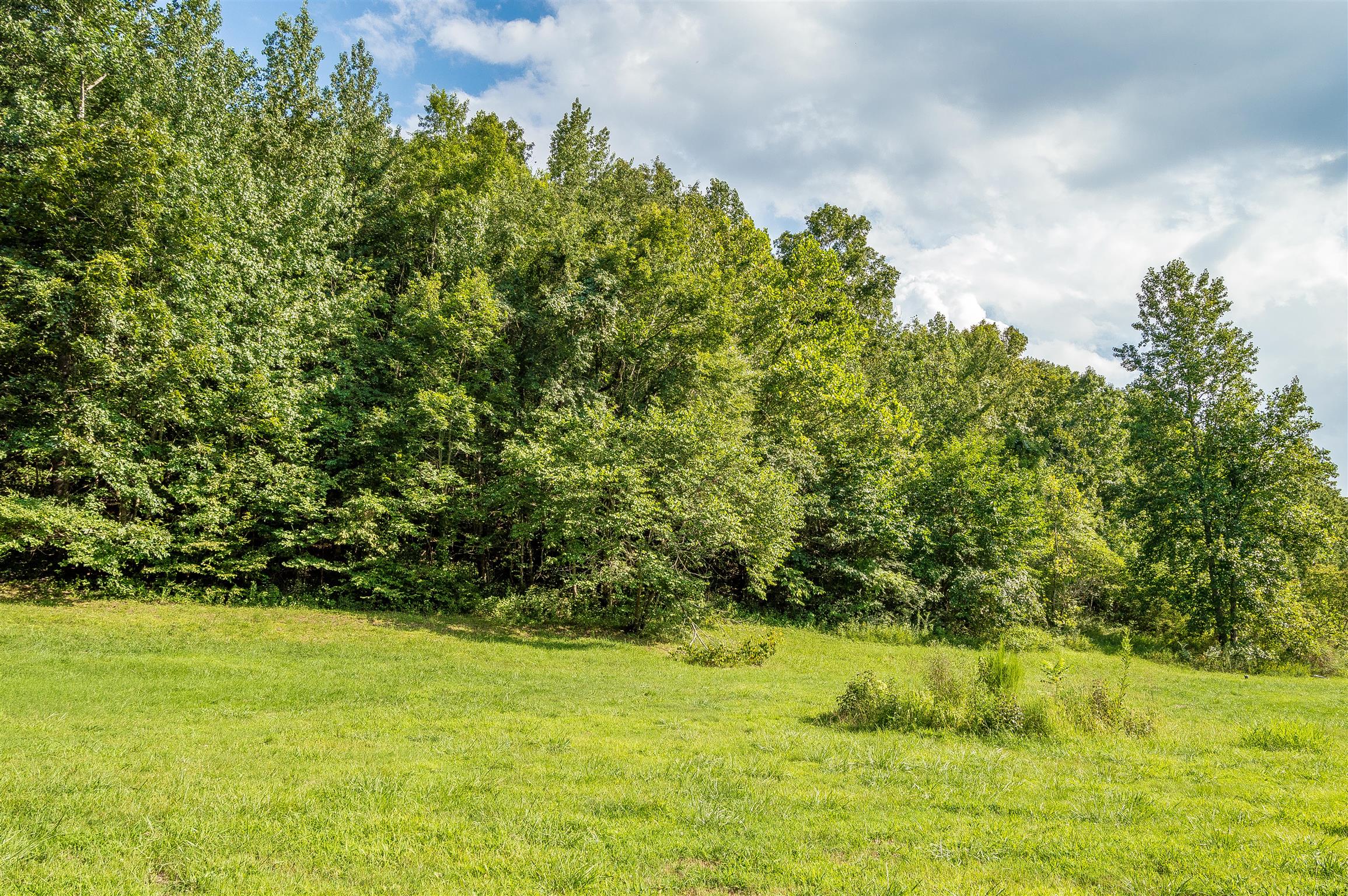 2233 Peach Road Minor Hill, TN 38473 - Photo 19 of 30 a view of a yard