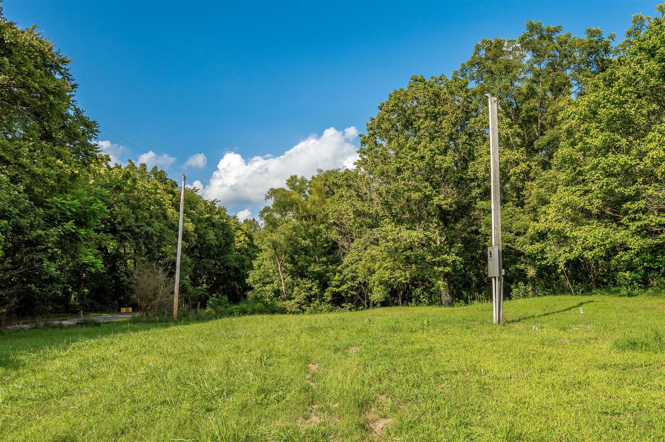 2233 Peach Road Minor Hill, TN 38473 - Photo 20 of 30 a view of a field with a tree