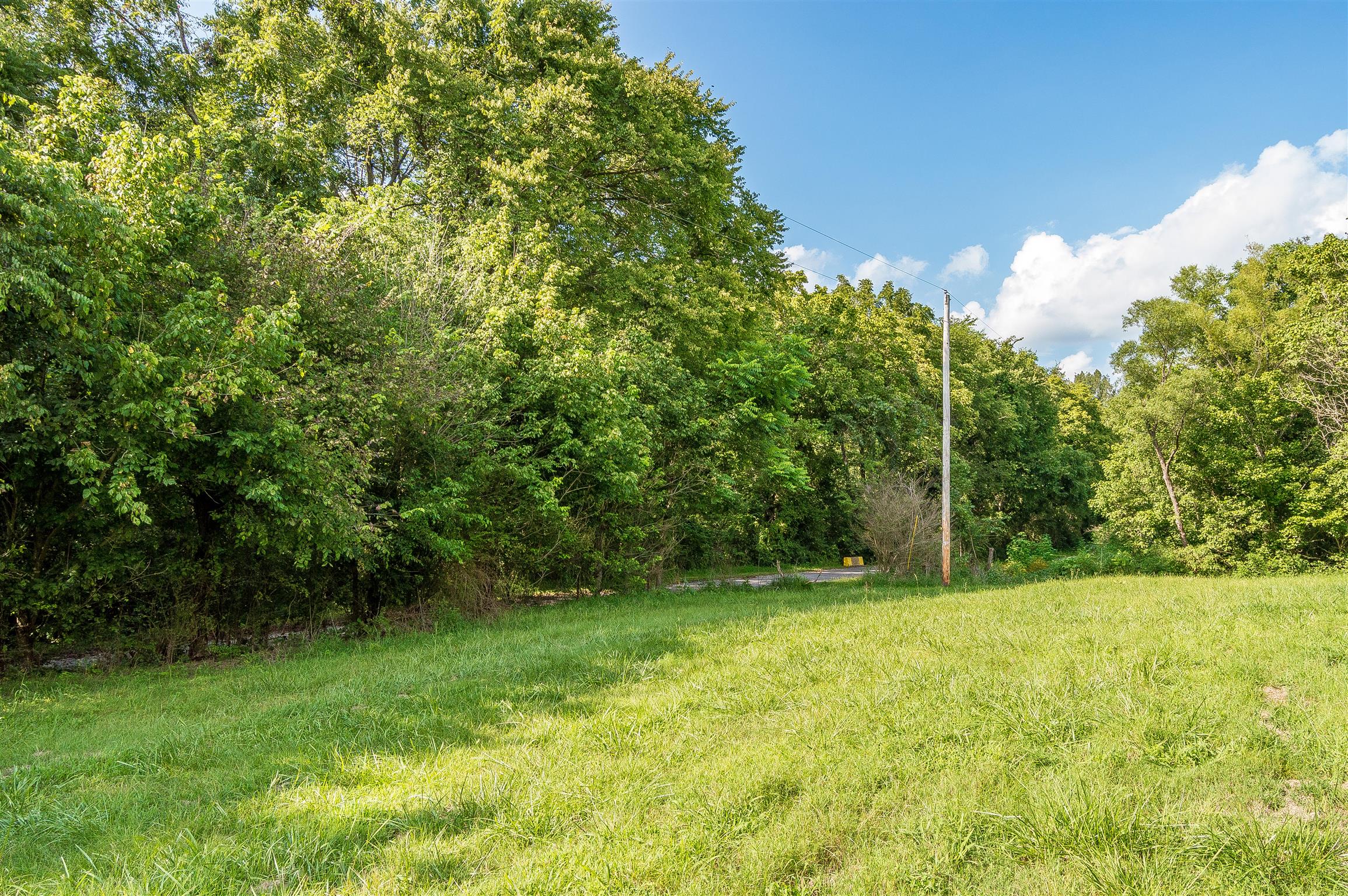 2233 Peach Road Minor Hill, TN 38473 - Photo 21 of 30 a view of green field with trees in the background