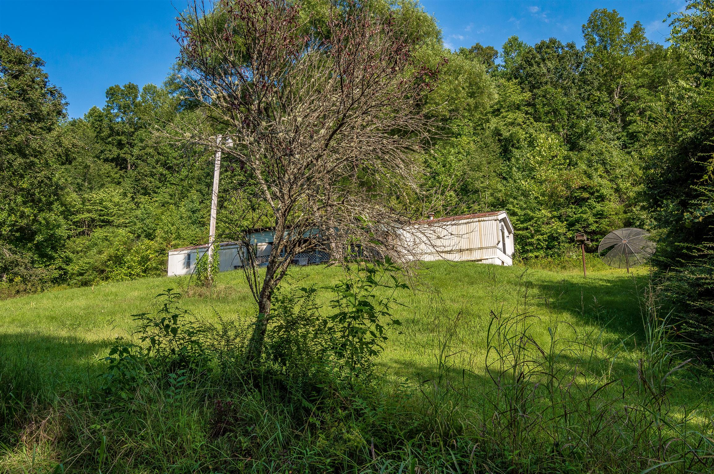 2233 Peach Road Minor Hill, TN 38473 - Photo 22 of 30 a view of a back yard