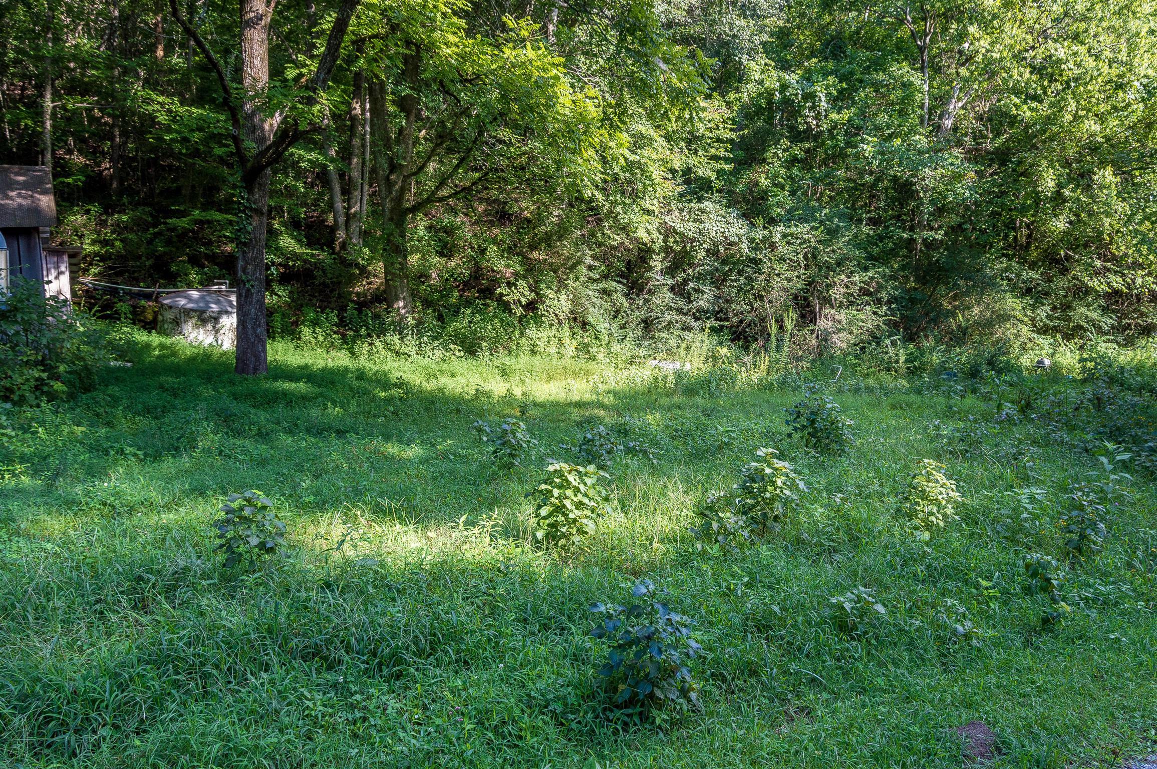 2233 Peach Road Minor Hill, TN 38473 - Photo 23 of 30 a view of a lush green space