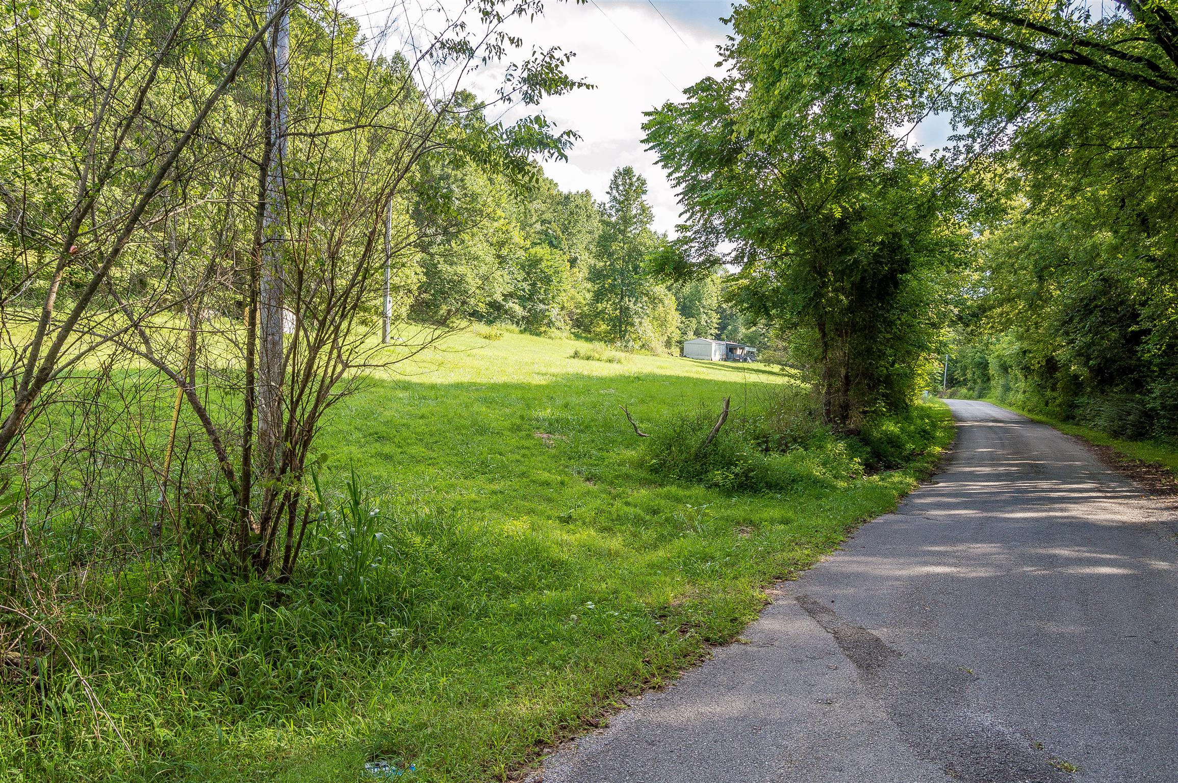 2233 Peach Road Minor Hill, TN 38473 - Photo 24 of 30 a view of a trees with a yard