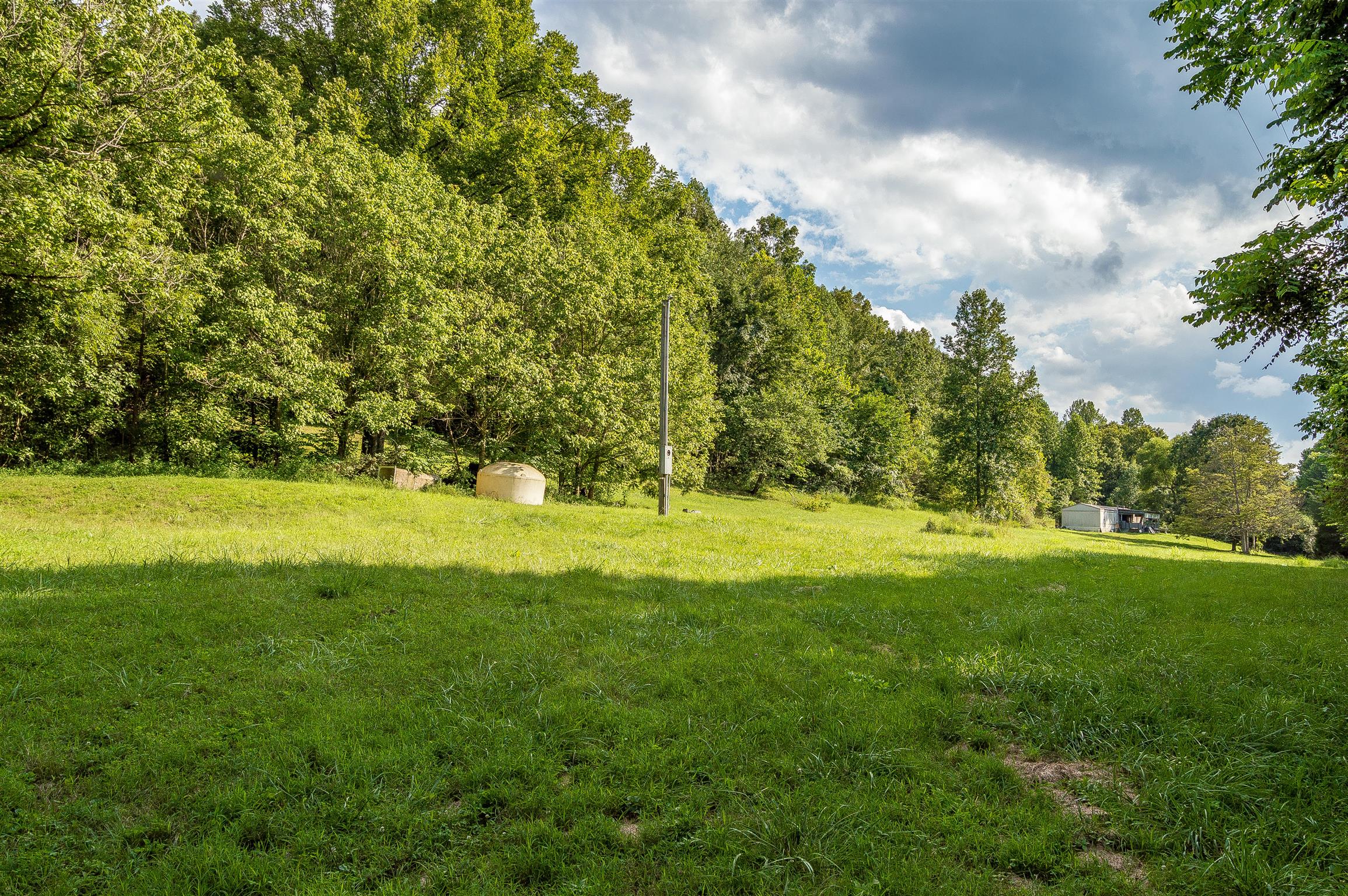 2233 Peach Road Minor Hill, TN 38473 - Photo 25 of 30 a view of field with trees in the background
