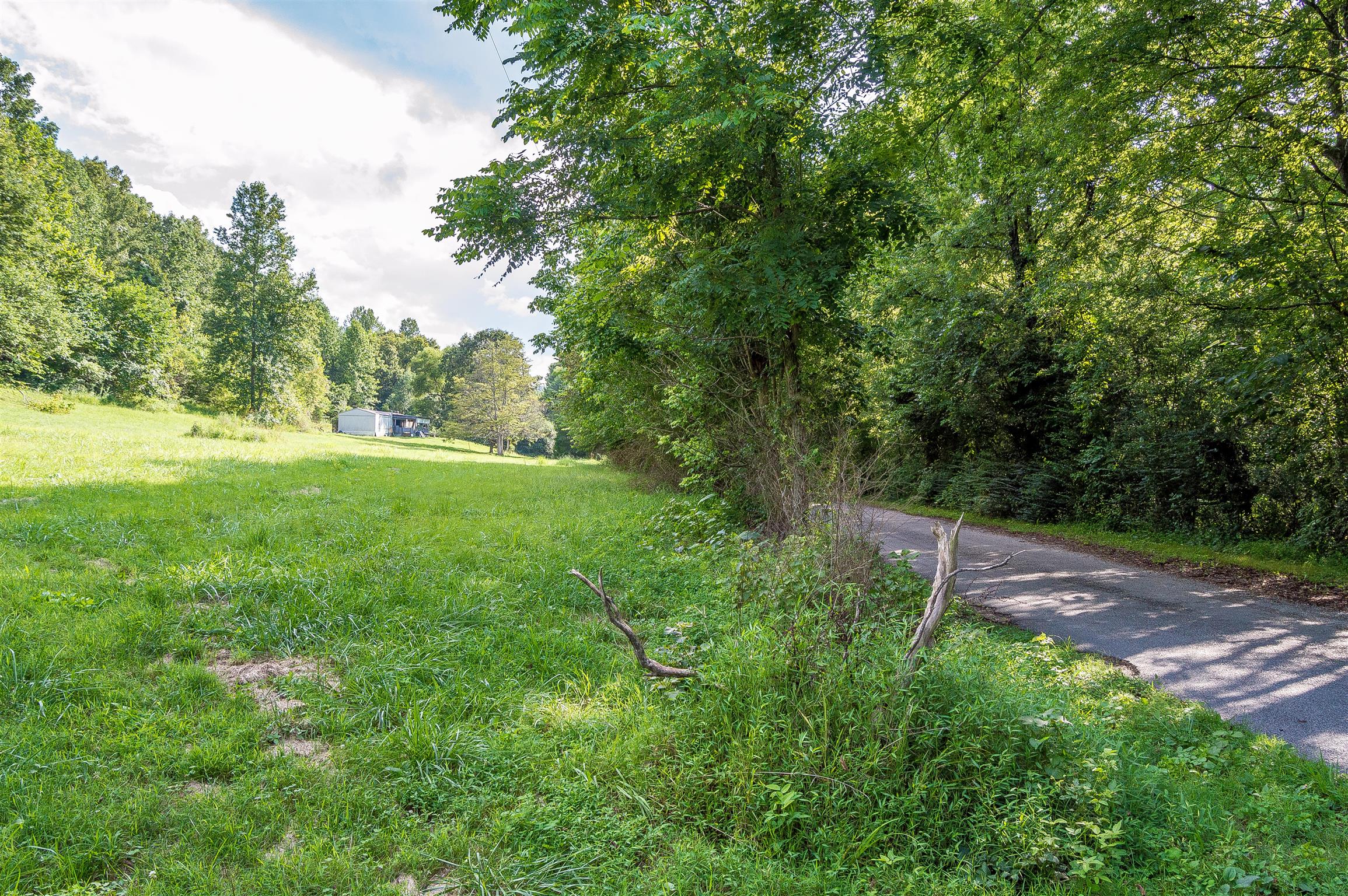 2233 Peach Road Minor Hill, TN 38473 - Photo 26 of 30 a view of an outdoor space and yard