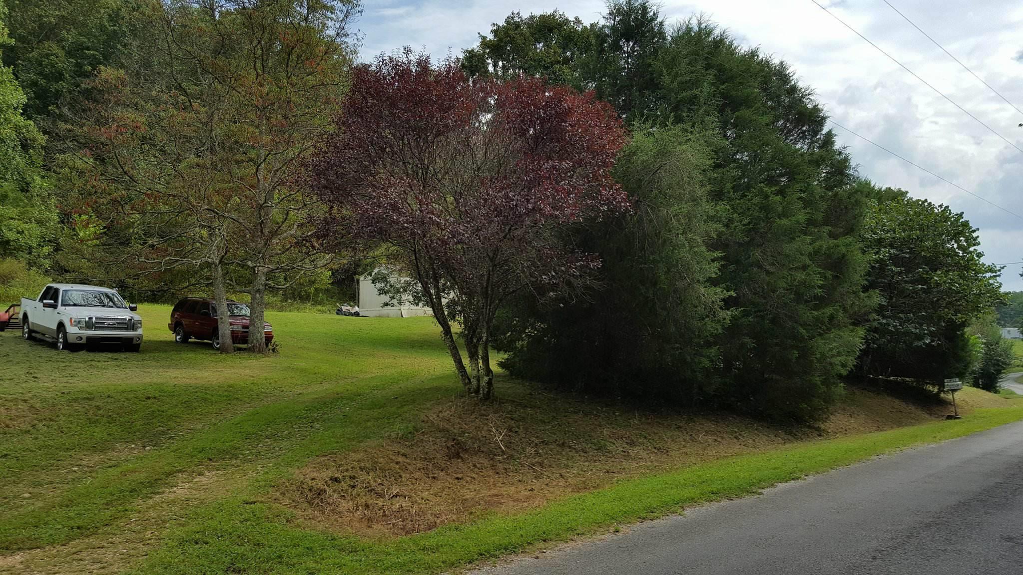 2233 Peach Road Minor Hill, TN 38473 - Photo 27 of 30 a view of a yard with car parked on the road