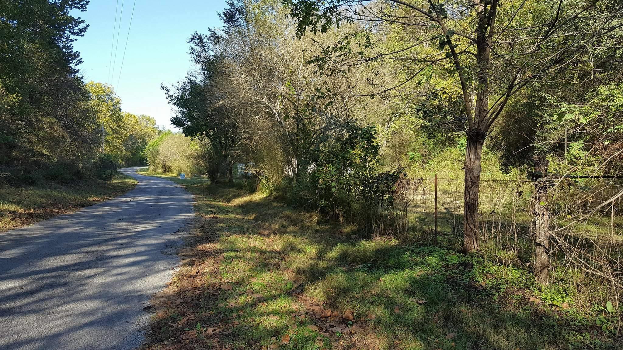 2233 Peach Road Minor Hill, TN 38473 - Photo 29 of 30 a view of outdoor space and yard