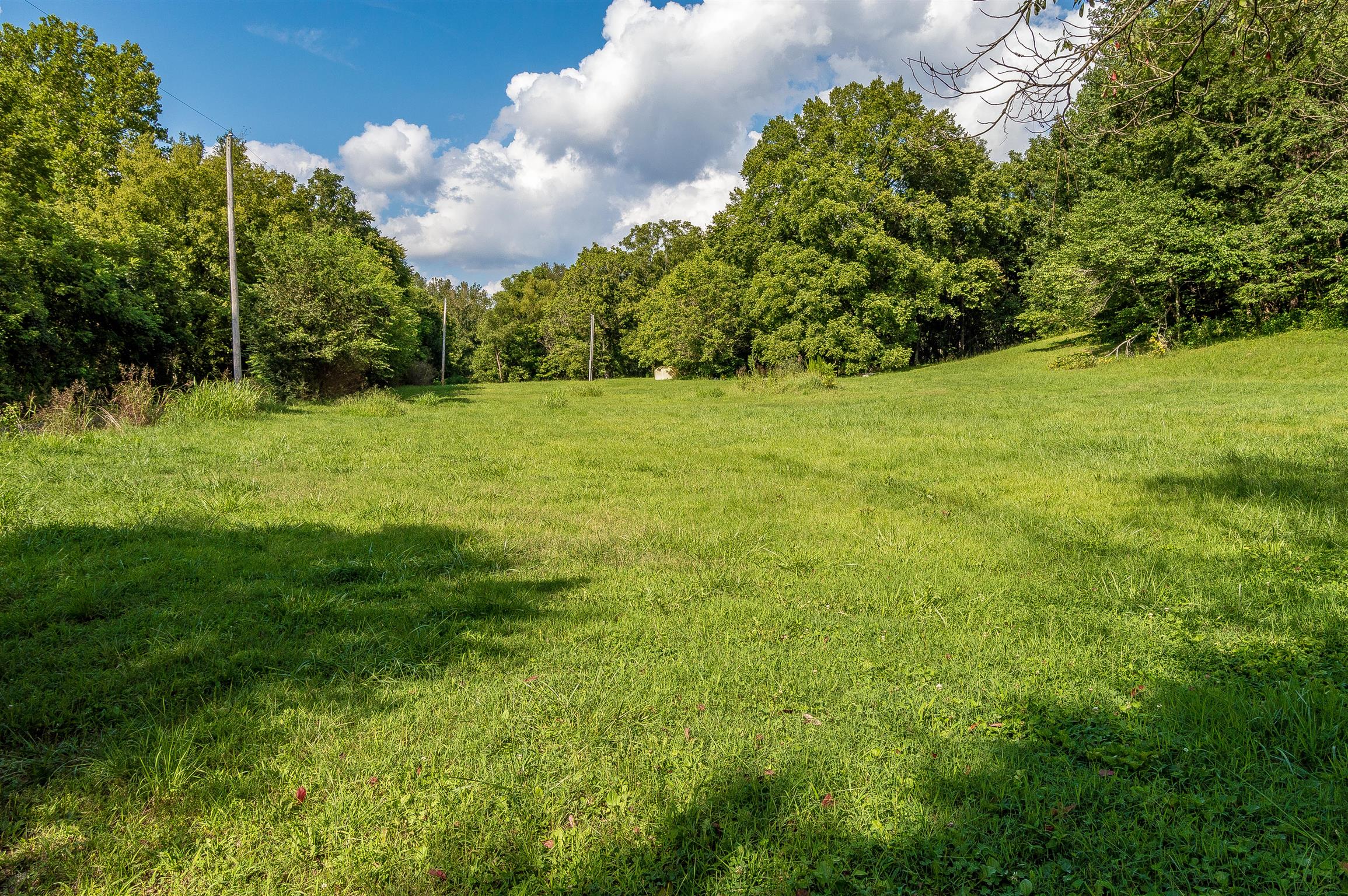 2233 Peach Road Minor Hill, TN 38473 - Photo 4 of 30 a view of a garden