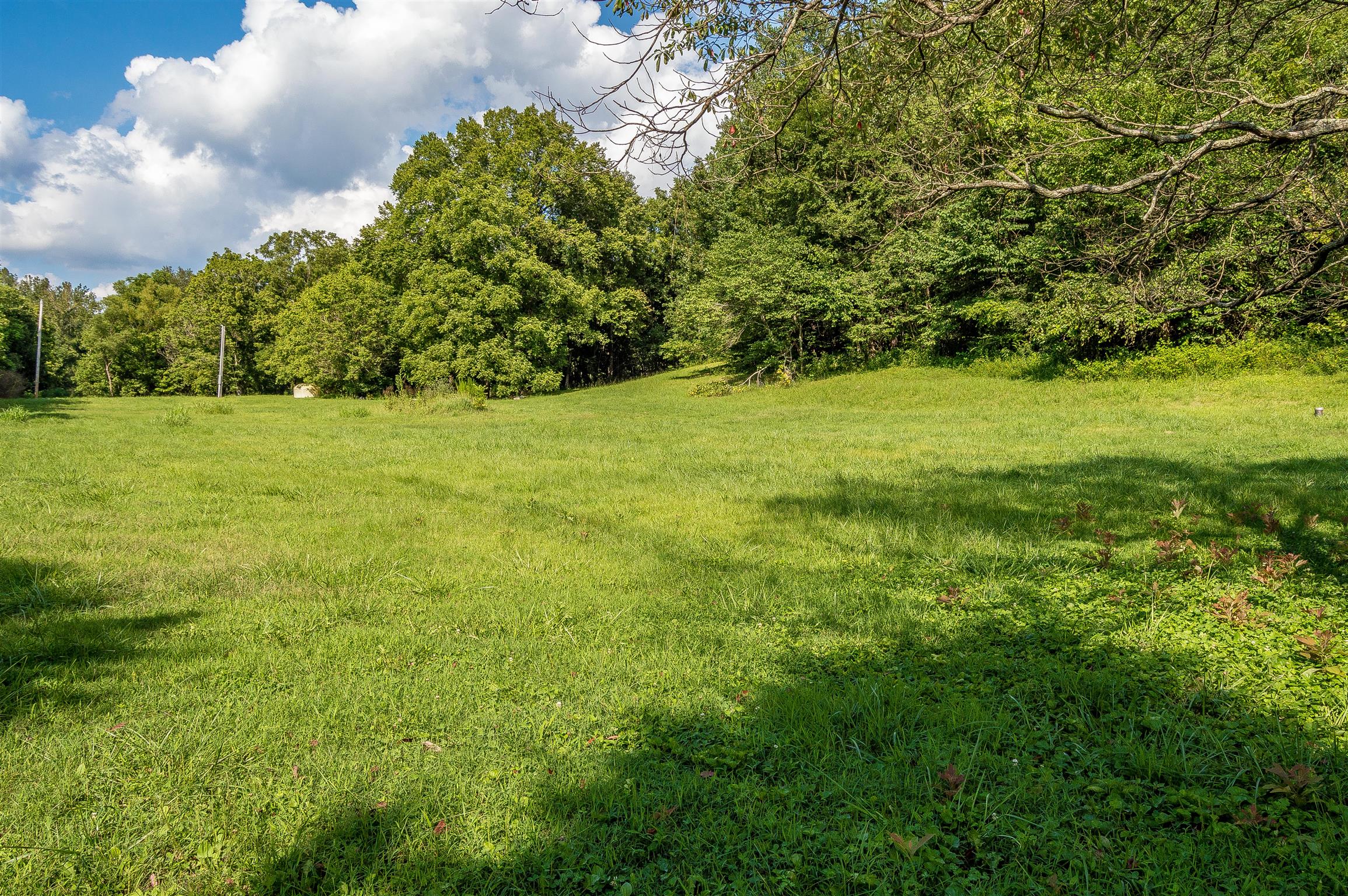 2233 Peach Road Minor Hill, TN 38473 - Photo 5 of 30 a view of yard with green space