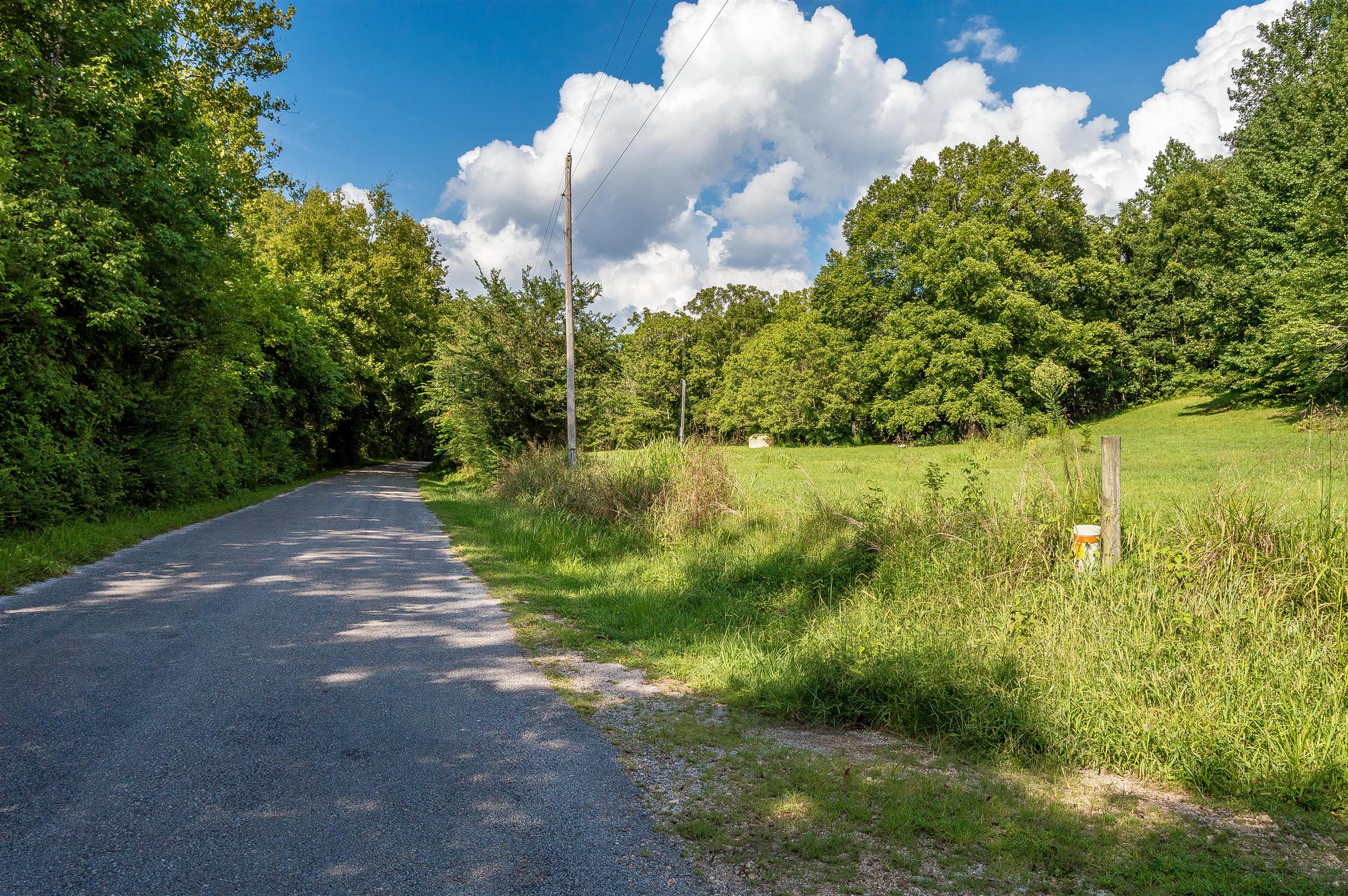 2233 Peach Road Minor Hill, TN 38473 - Photo 6 of 30 a view of a lake with a yard
