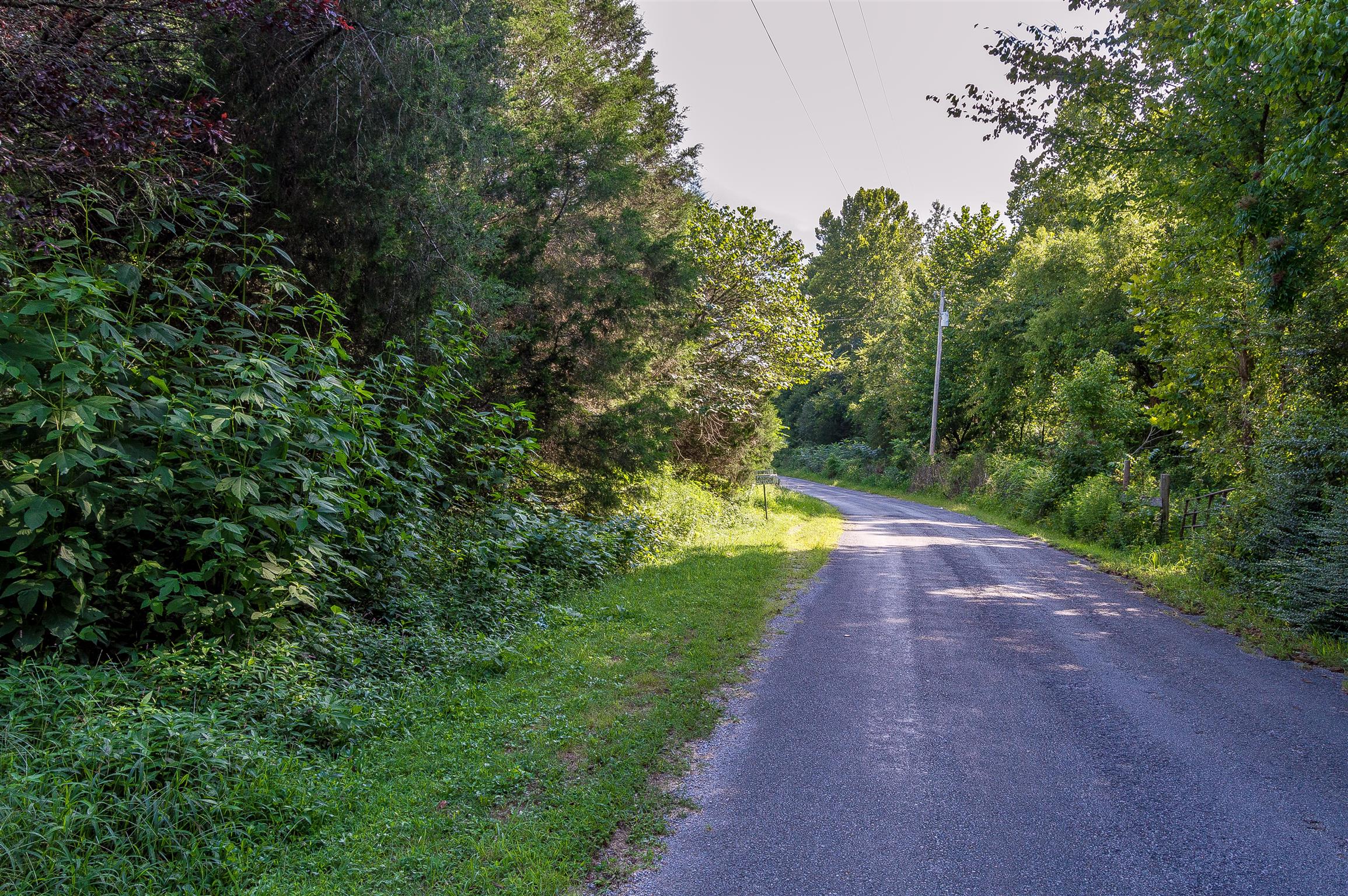 2233 Peach Road Minor Hill, TN 38473 - Photo 7 of 30 a view of a road with a yard of the house