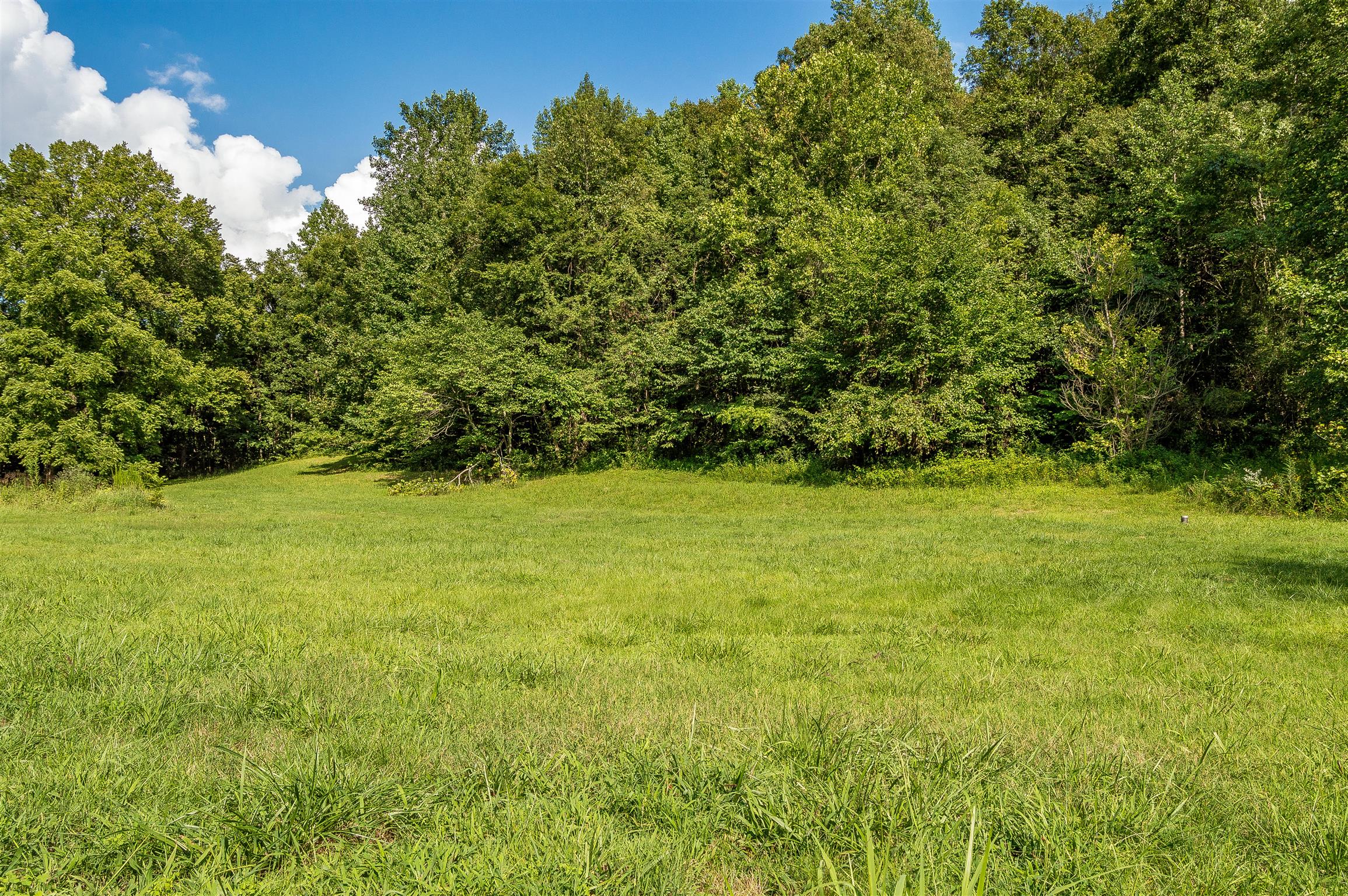 2233 Peach Road Minor Hill, TN 38473 - Photo 8 of 30 a view of yard with green space
