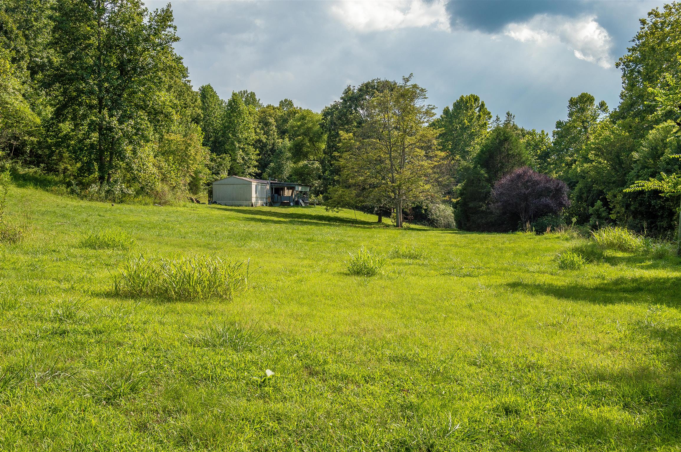 2233 Peach Road Minor Hill, TN 38473 - Photo 9 of 30 a view of a green yard