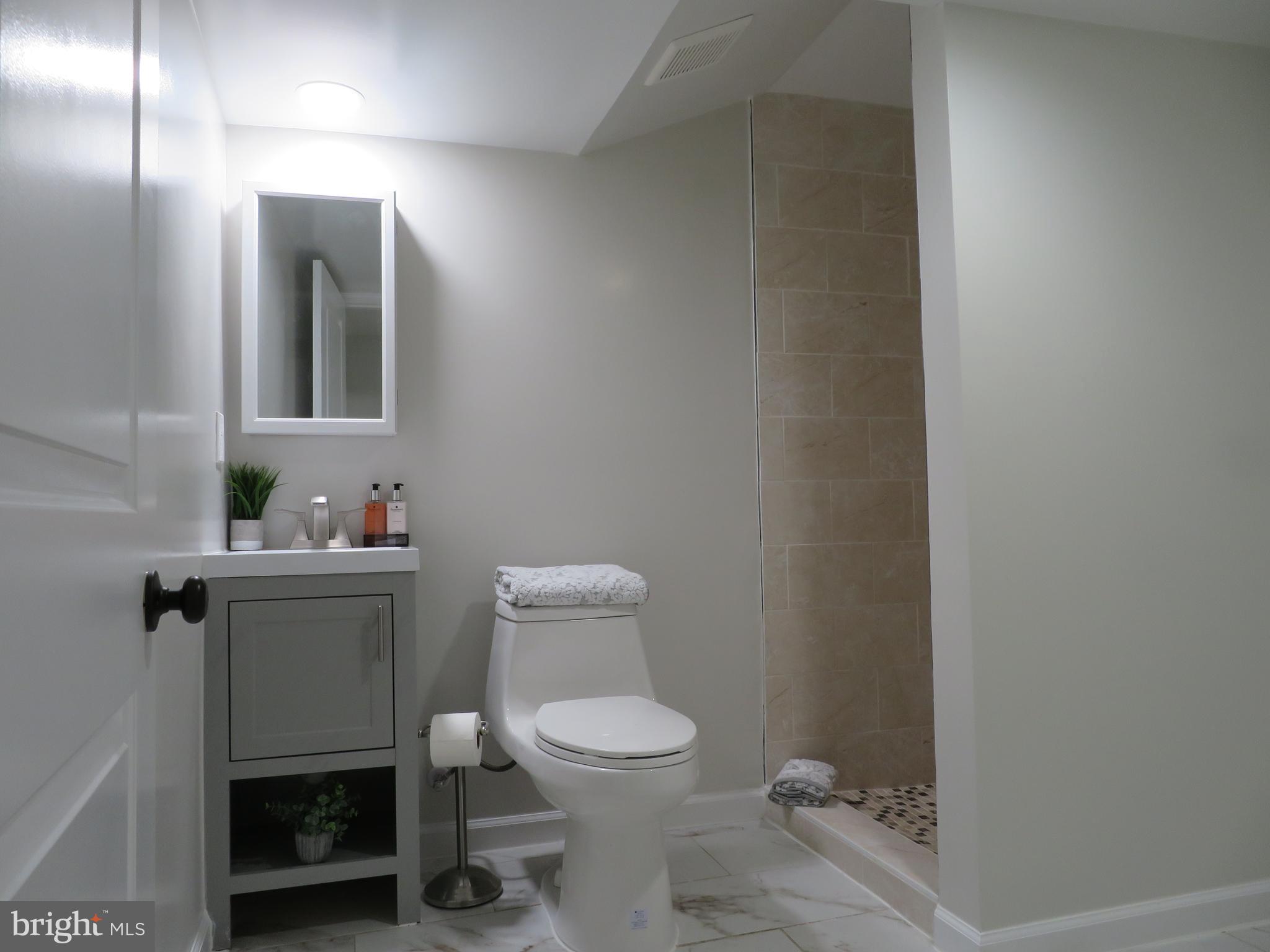 1325 Ray Road Hyattsville, MD 20782 - Photo 37 of 55 LOWER 1 BATHROOM