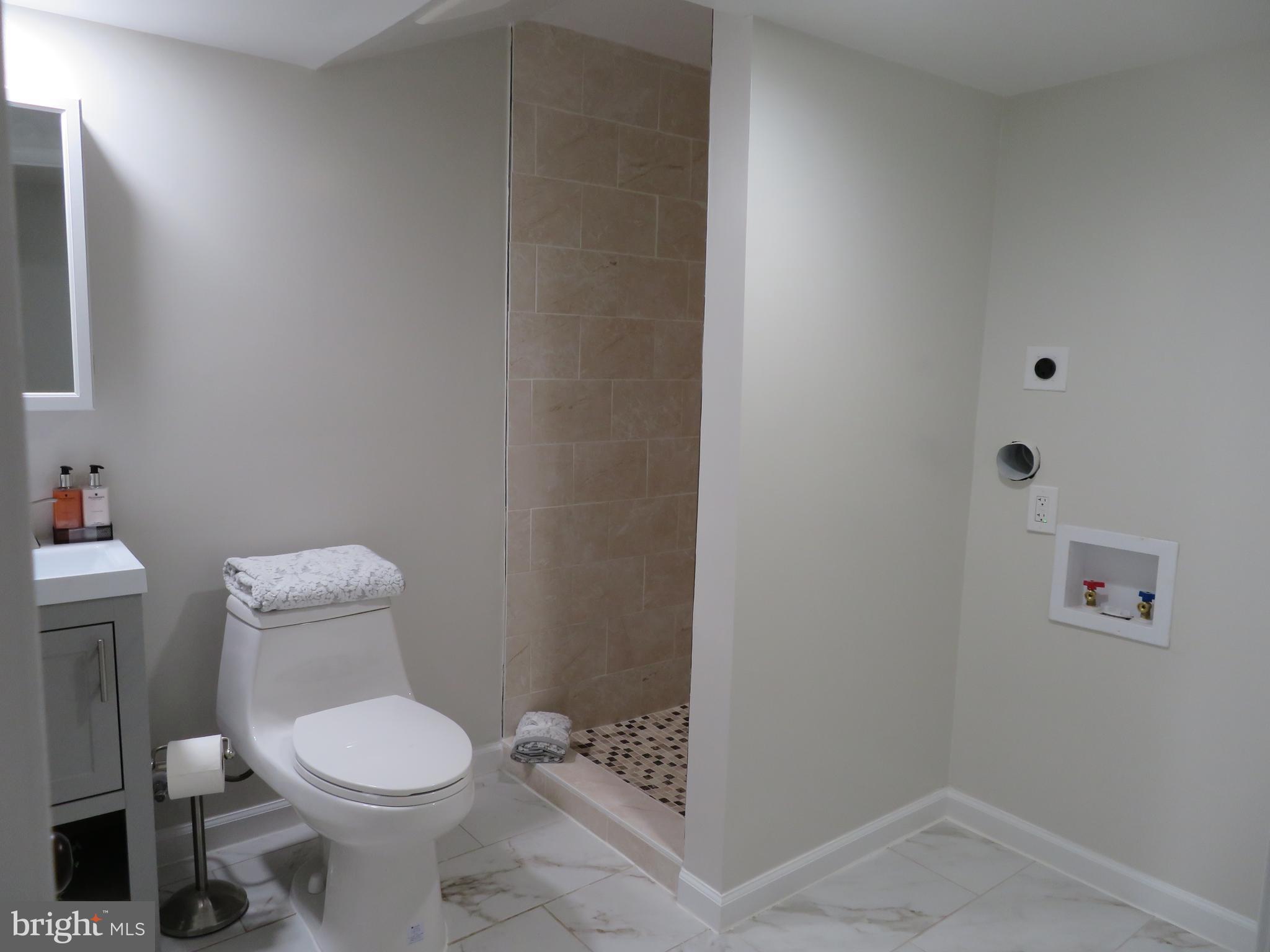 1325 Ray Road Hyattsville, MD 20782 - Photo 38 of 55 LOWER 1 BATHROOM
