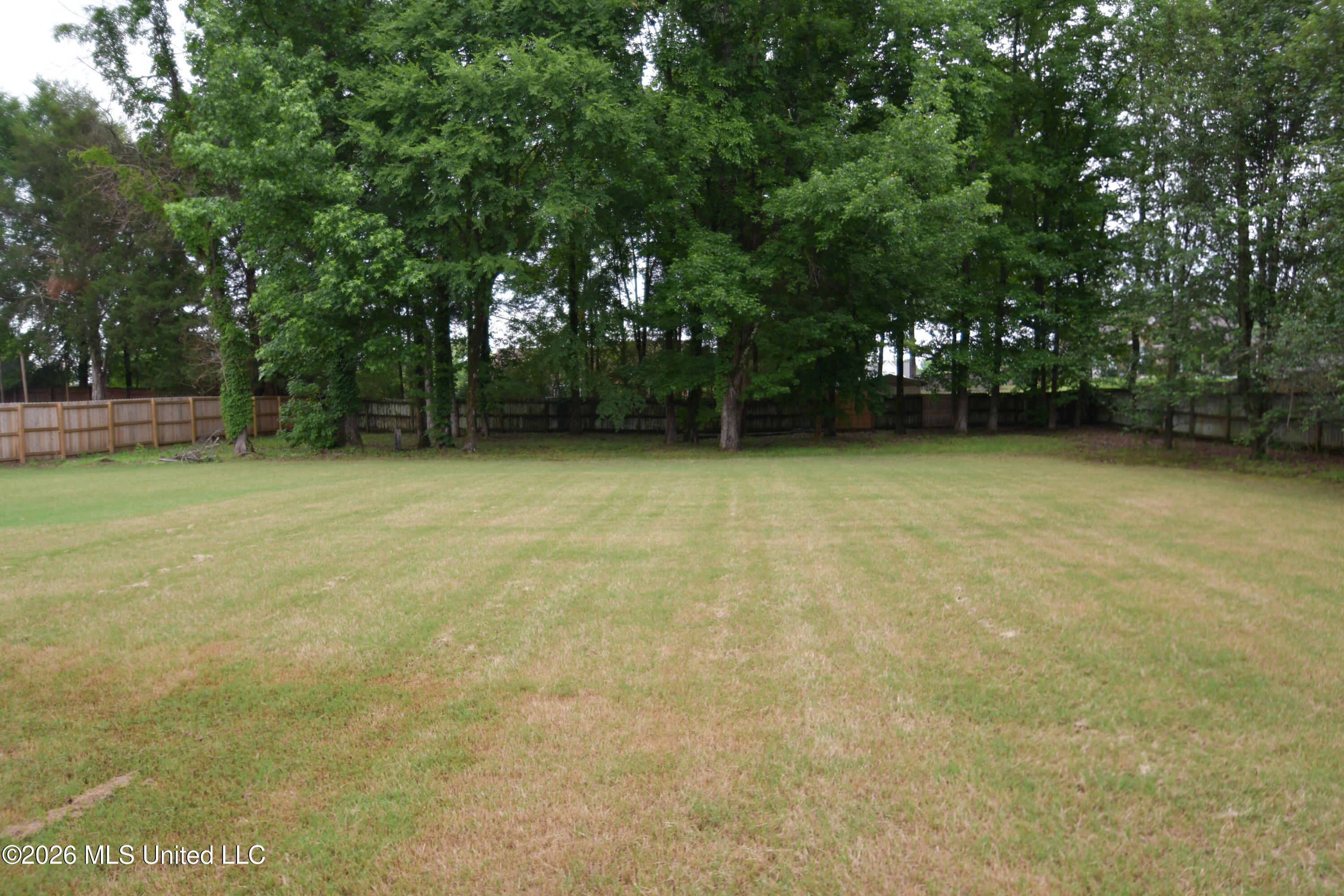 616 Ridge View Drive Hernando, MS 38632 - Photo 23 of 27 Huge backyard