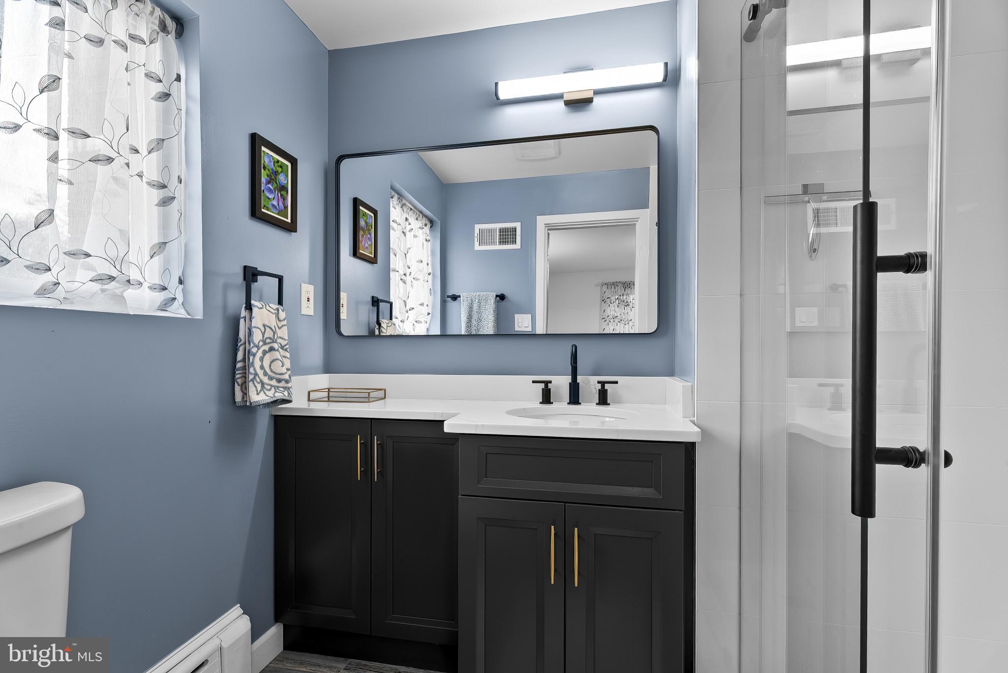 512 Quaint Acres Drive Silver Spring, MD 20904 - Photo 19 of 46 Primary bathroom
