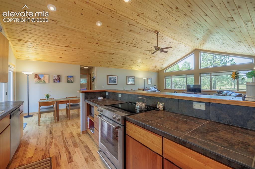 392 Aspen Village Road Divide, CO 80814 - Photo 16 of 43