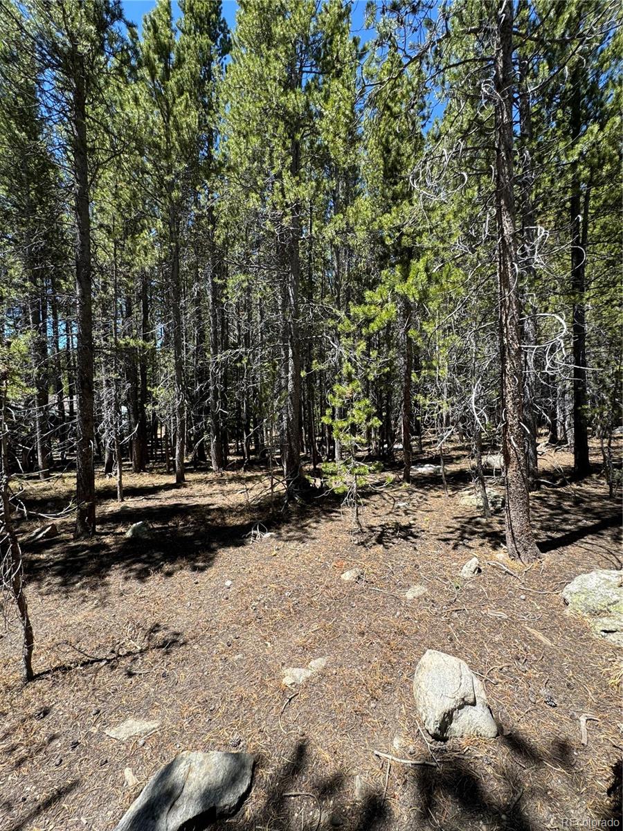 Lot 342 Eva Road Idaho Springs, CO 80452 - Photo 11 of 26 Gallery Image 11