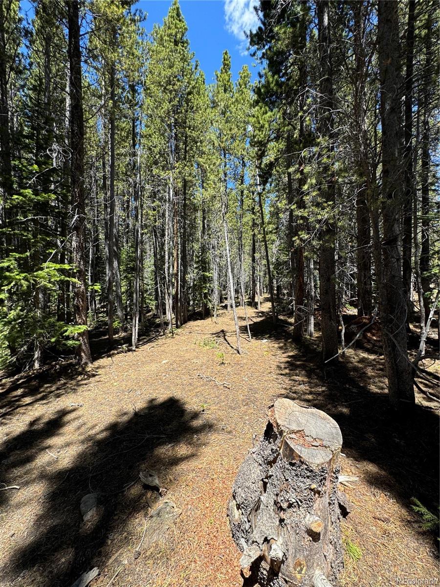 Lot 342 Eva Road Idaho Springs, CO 80452 - Photo 12 of 26 Gallery Image 12