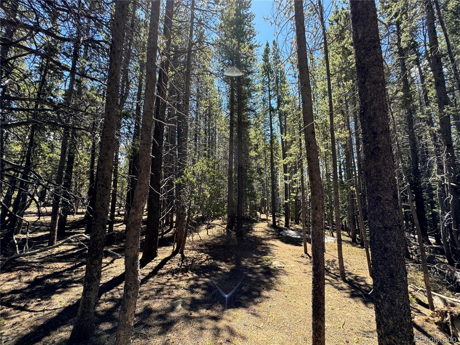 Lot 342 Eva Road Idaho Springs, CO 80452 - Photo 13 of 26 Gallery Image 13