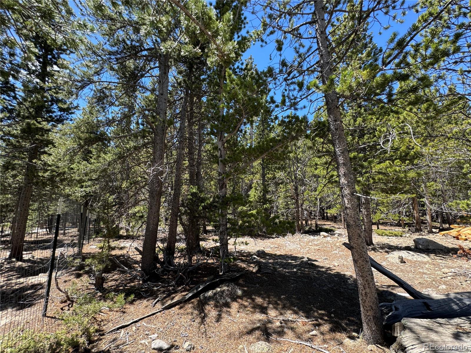 Lot 342 Eva Road Idaho Springs, CO 80452 - Photo 14 of 26 Gallery Image 14