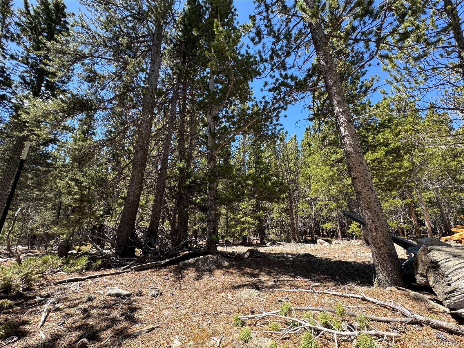 Lot 342 Eva Road Idaho Springs, CO 80452 - Photo 3 of 26 Gallery Image 3