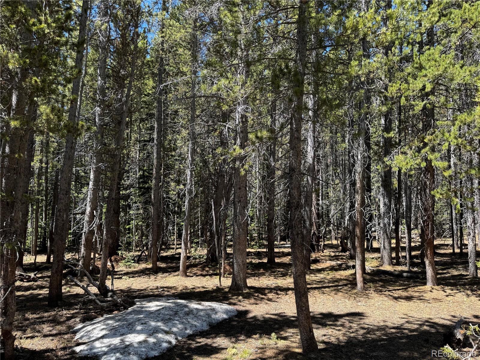 Lot 342 Eva Road Idaho Springs, CO 80452 - Photo 5 of 26 Gallery Image 5