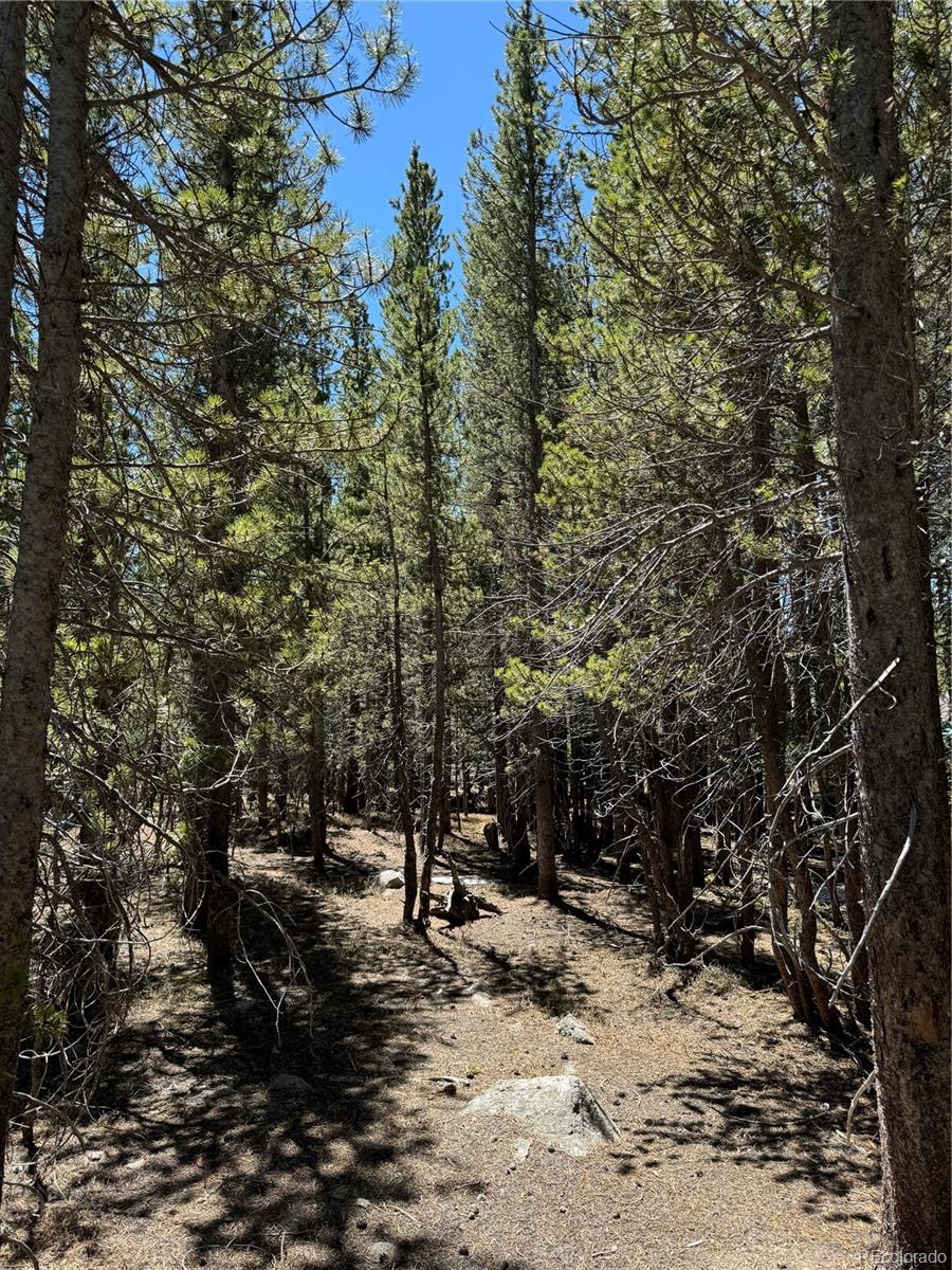 Lot 342 Eva Road Idaho Springs, CO 80452 - Photo 6 of 26 Gallery Image 6