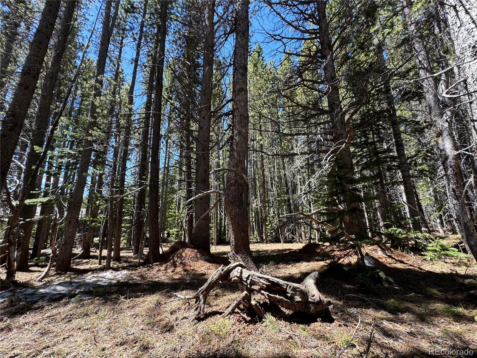 Lot 342 Eva Road Idaho Springs, CO 80452 - Photo 8 of 26 Gallery Image 8