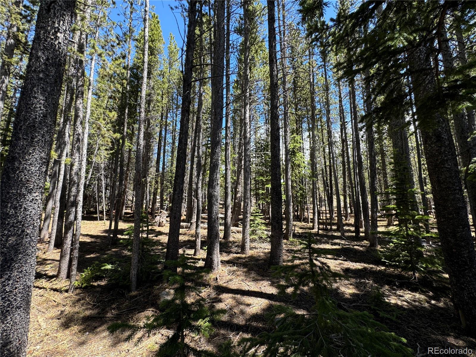 Lot 342 Eva Road Idaho Springs, CO 80452 - Photo 9 of 26 Gallery Image 9