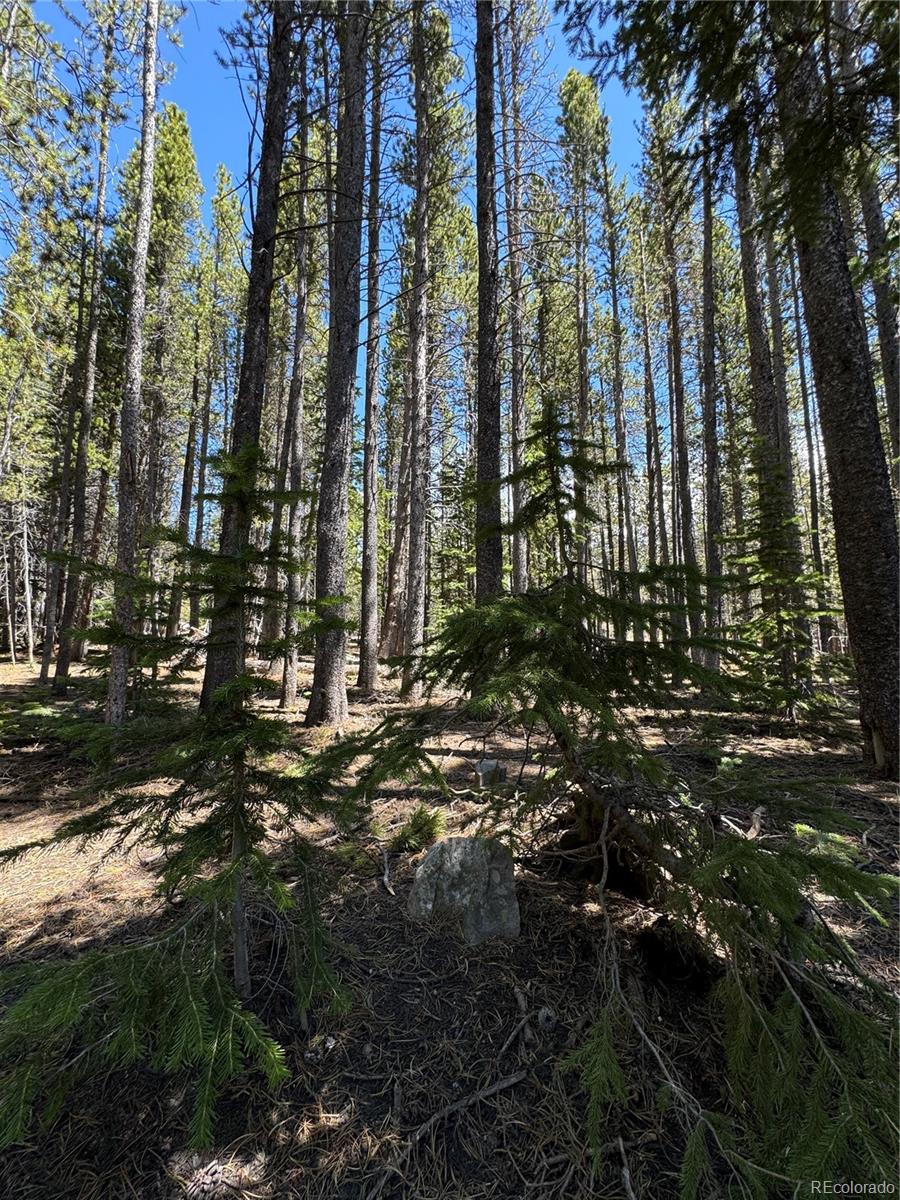 Lot 342 Eva Road Idaho Springs, CO 80452 - Photo 10 of 26 Gallery Image 10