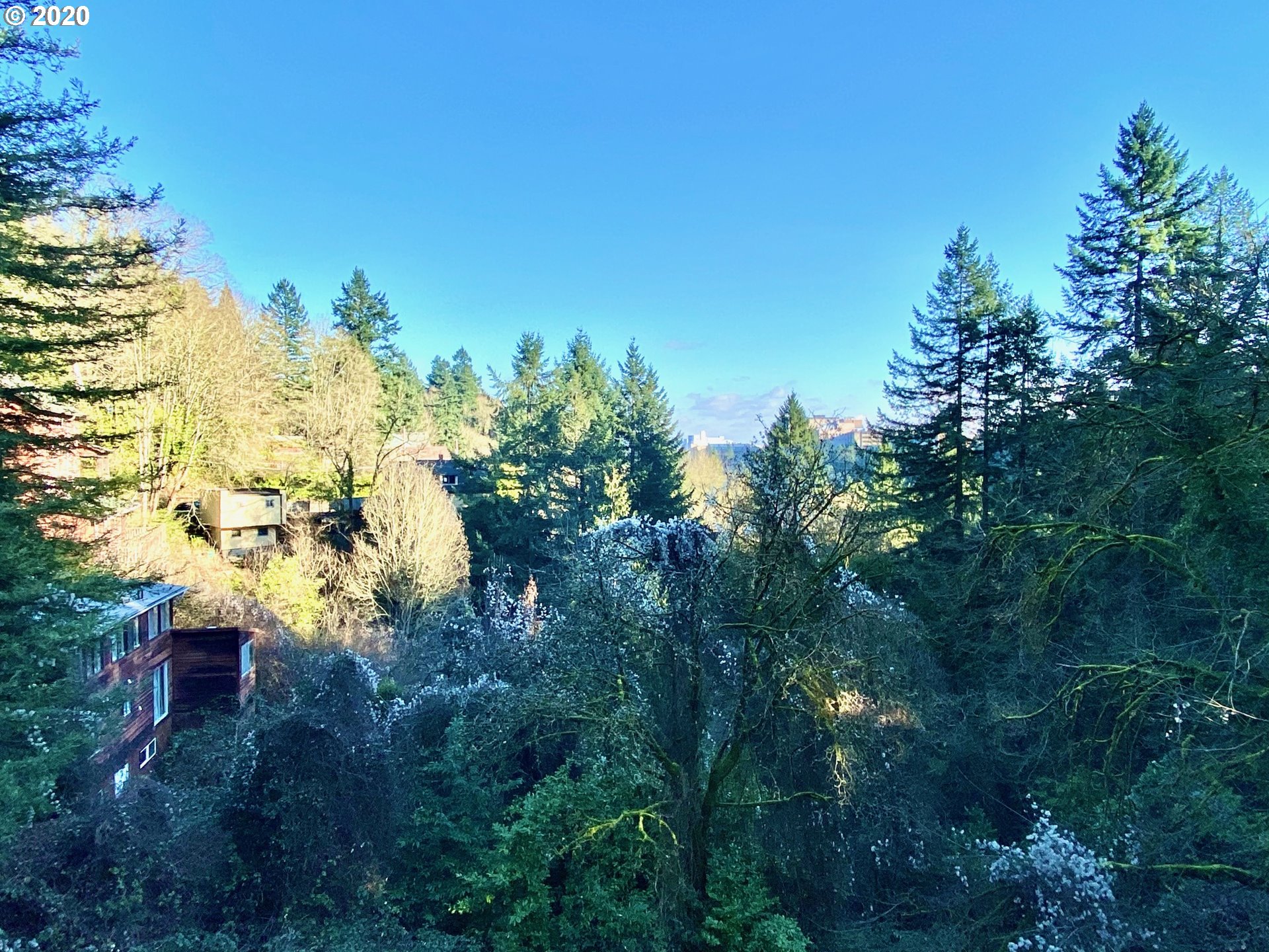 1506 Southwest Broadway Drive Portland, OR 97201 - Photo 11 of 18 a plant view