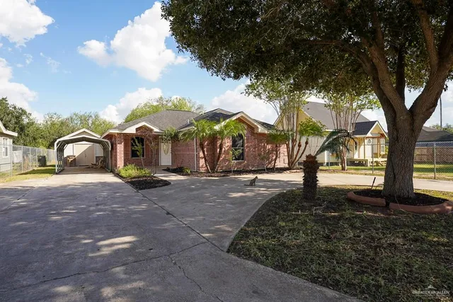 a street view with large trees