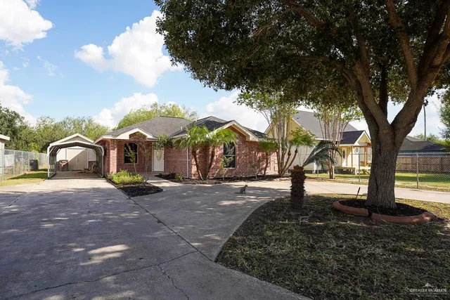 a street view with large trees