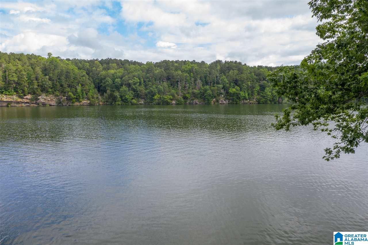 117 Redstone Lane Adger, AL 35006 - Photo 36 of 39