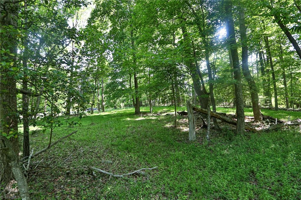 Tbd Mayberry Road Jonesville, NC 28642 - Photo 6 of 20 Gallery Image 6