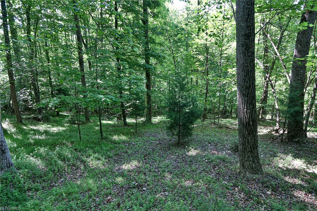 Tbd Mayberry Road Jonesville, NC 28642 - Photo 7 of 20 Gallery Image 7