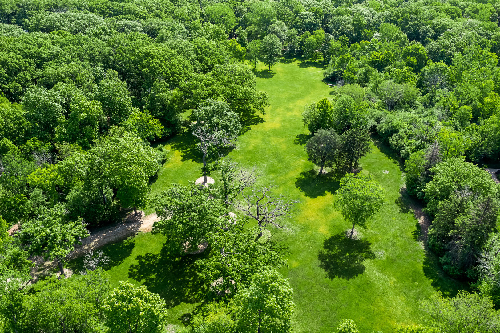 3615 Adams Road Oak Brook, IL 60523 - Photo 1 of 18 a view of a garden