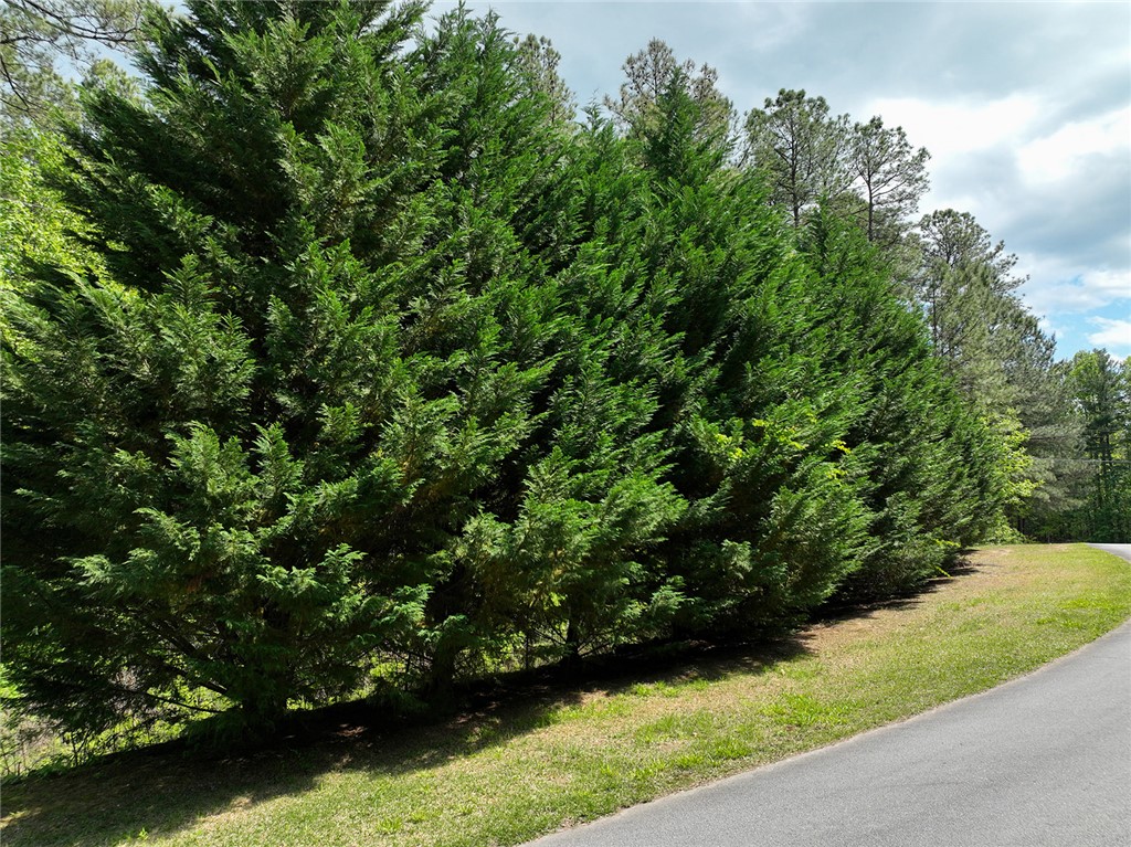Lot S6 Jocassee Ridge Way Salem, SC 29676 - Photo 2 of 30